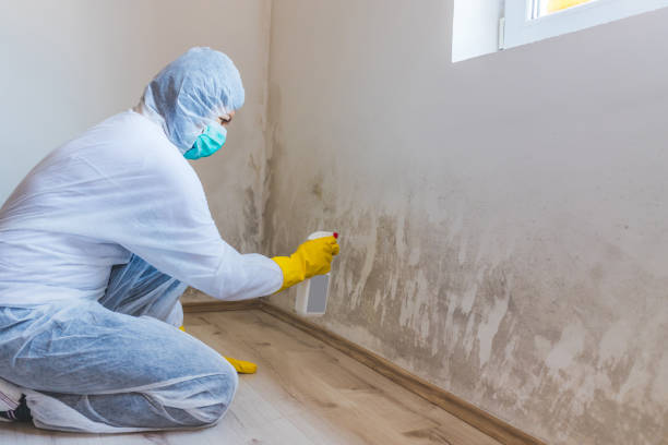 Licensed Commercial Mold Remediation service in Missouri City, TX - 24 Hour Mold Removal