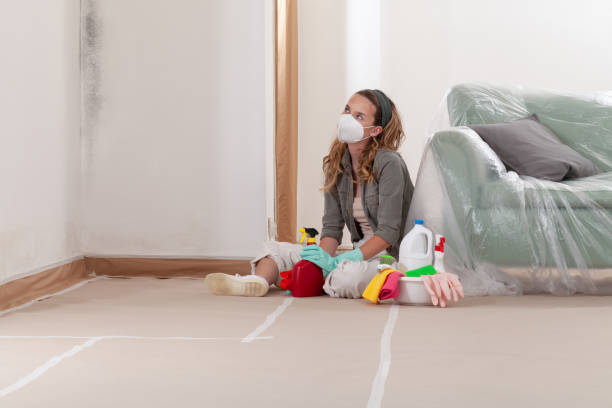 Reliable Commercial Mold Remediation contractor in Missouri City, TX by 24 Hour Mold Removal