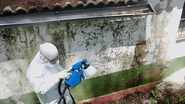 Top rated local Commercial Mold Remediation specialists in Missouri City, TX